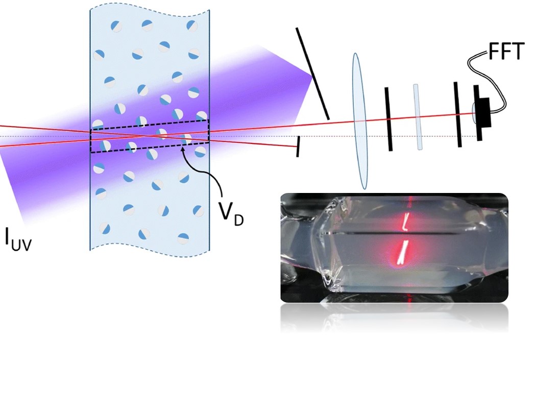 Characterization of active matter in dense suspensions with heterodyne ...