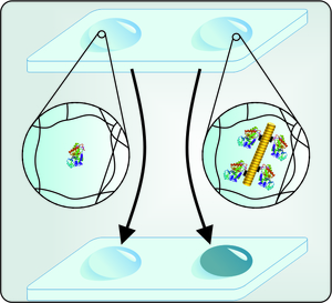 Soft Sub-Structured Multi-Material Biosensor Hydrogels with Enzymes Retained by Plant Viral Scaffolds